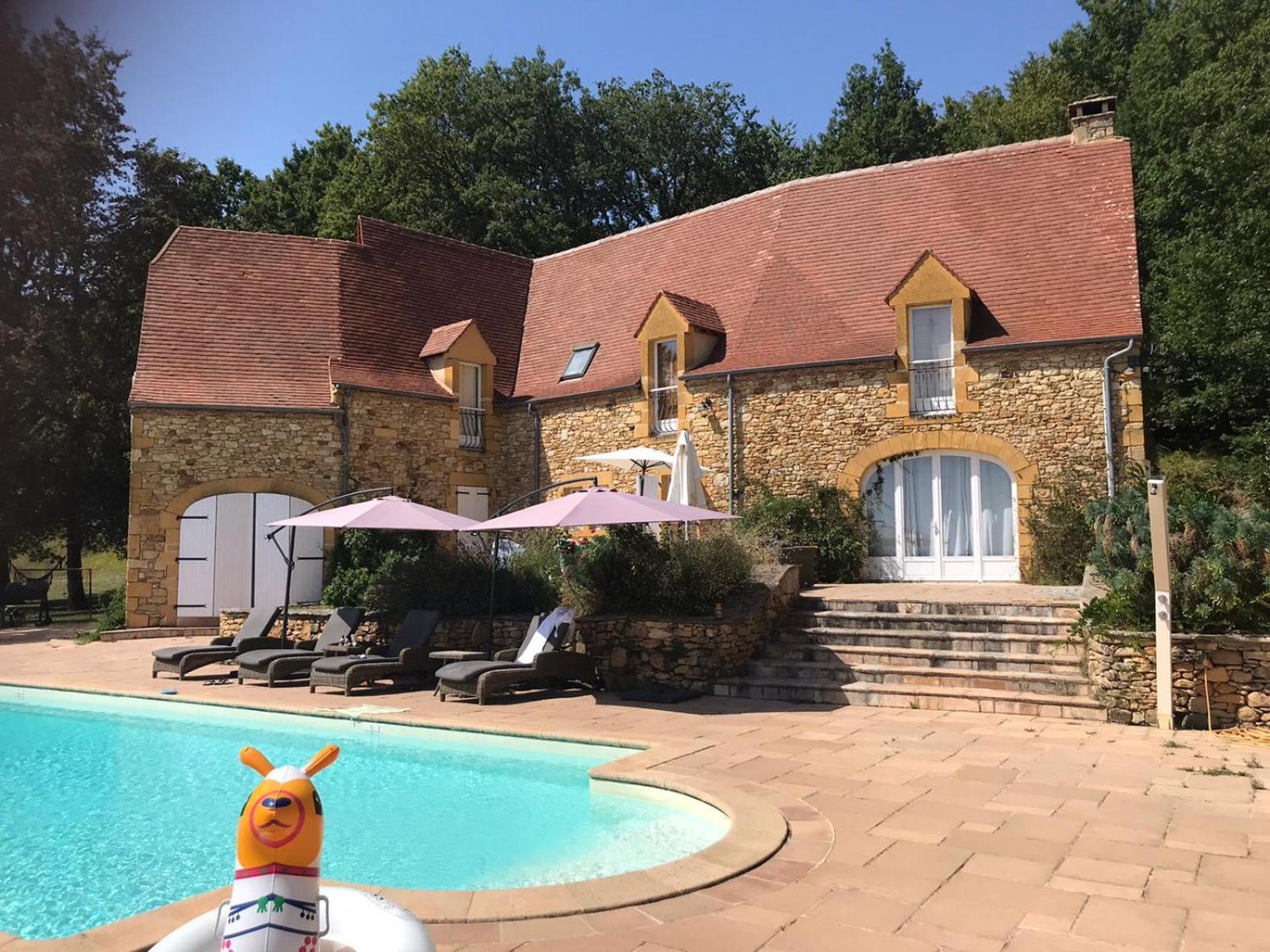 Luxury Chateau W. Pool & Hot Tub In Dordogne Beynac-et-Cazenac Exterior foto